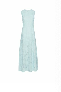 Mesh Maxi Dress